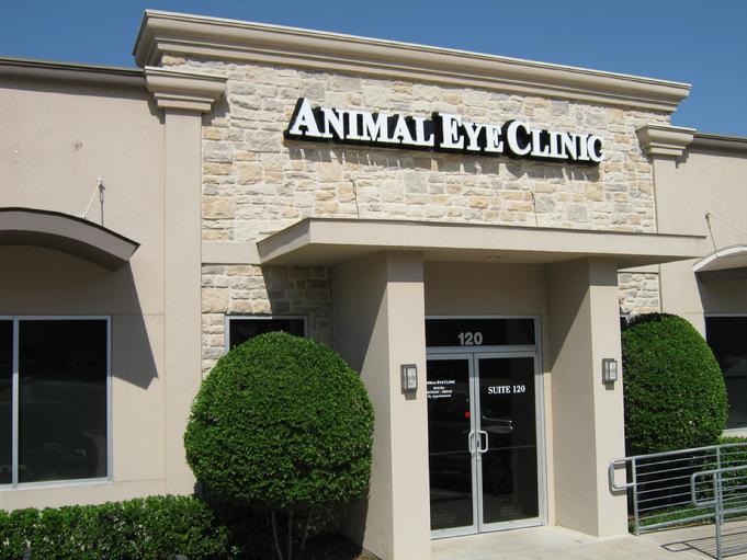Animal Eye Clinic Dr. Michael Paulsen, DVM, MS