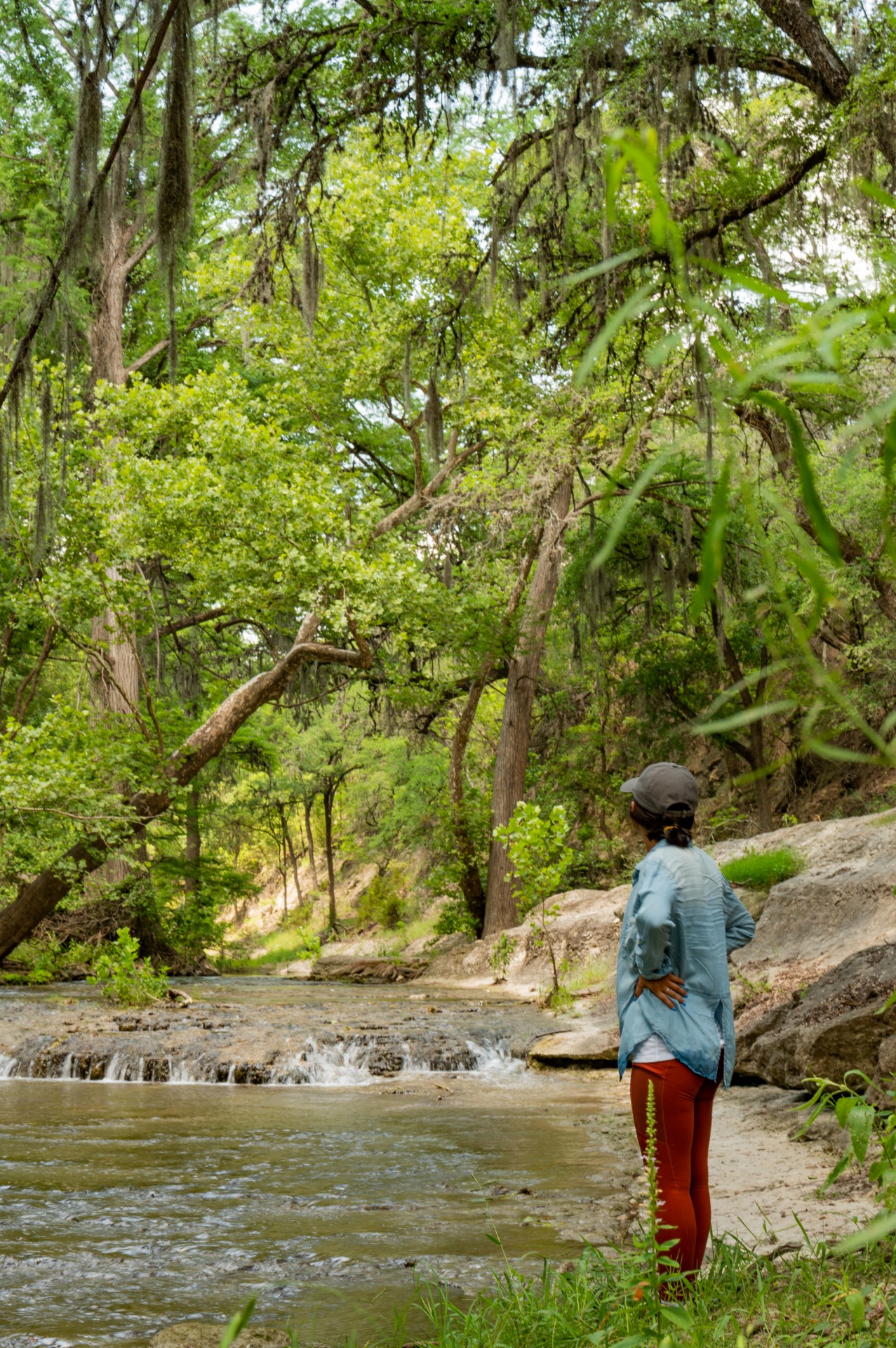 Conservation Effort Holds Promise for a New Park to Protect Honey Creek in the Hill Country