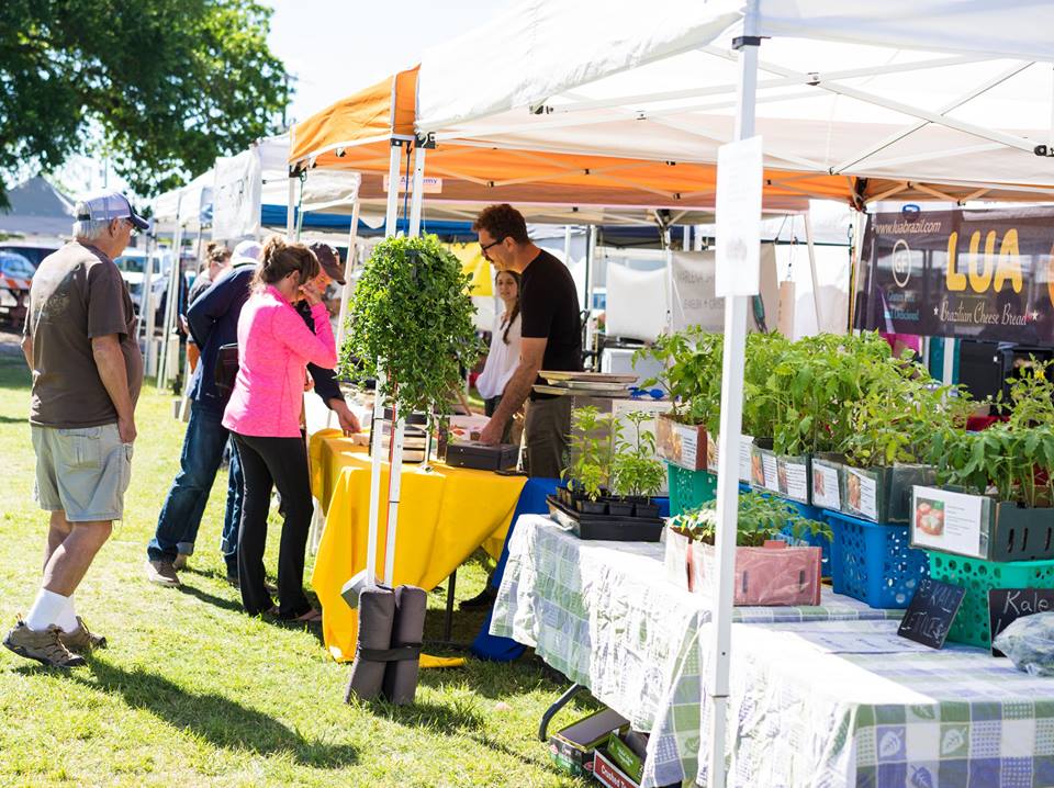 5 Central Texas Farmer's Markets You'll Want to Visit