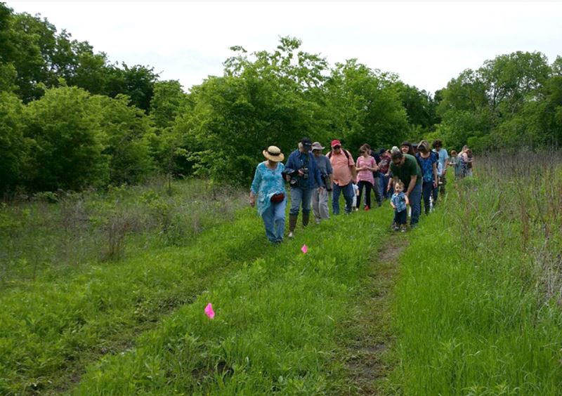 Ennis Kachina Prairie Texas Hill Country