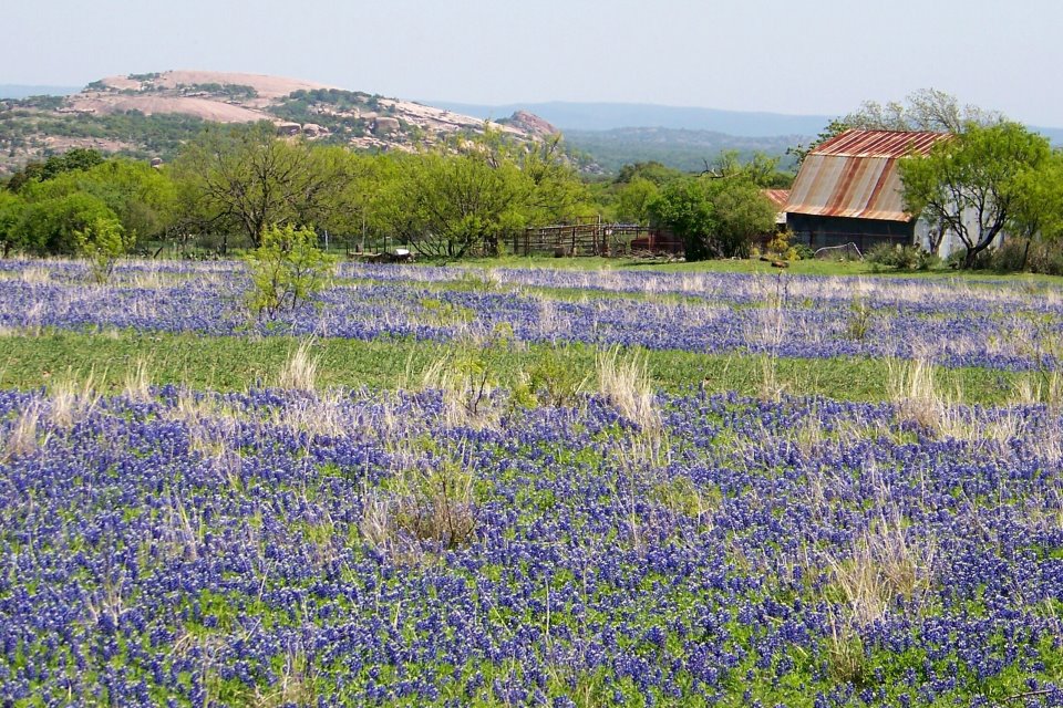 Get Close to Nature in Doss, Texas