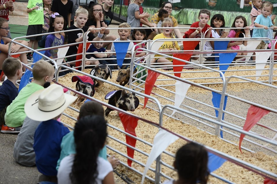 West Texas Fair And Rodeo 2024 Riki Loleta