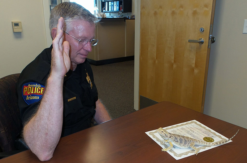 The police department held a drug fish game in late April