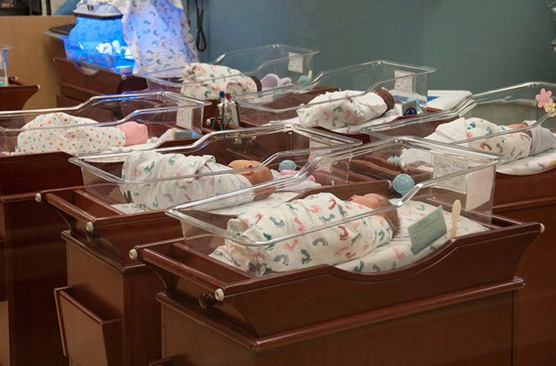 nursery Texas Hill Country