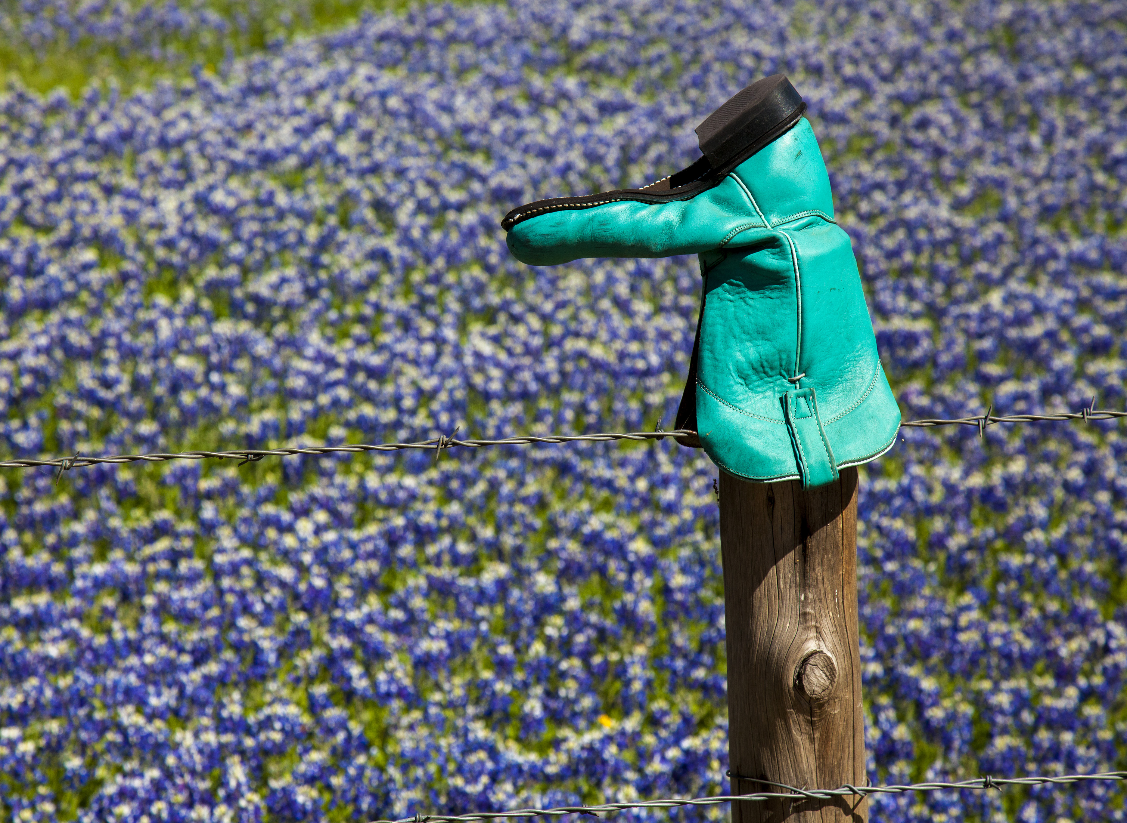 Willow City Loop Texas Hill Country