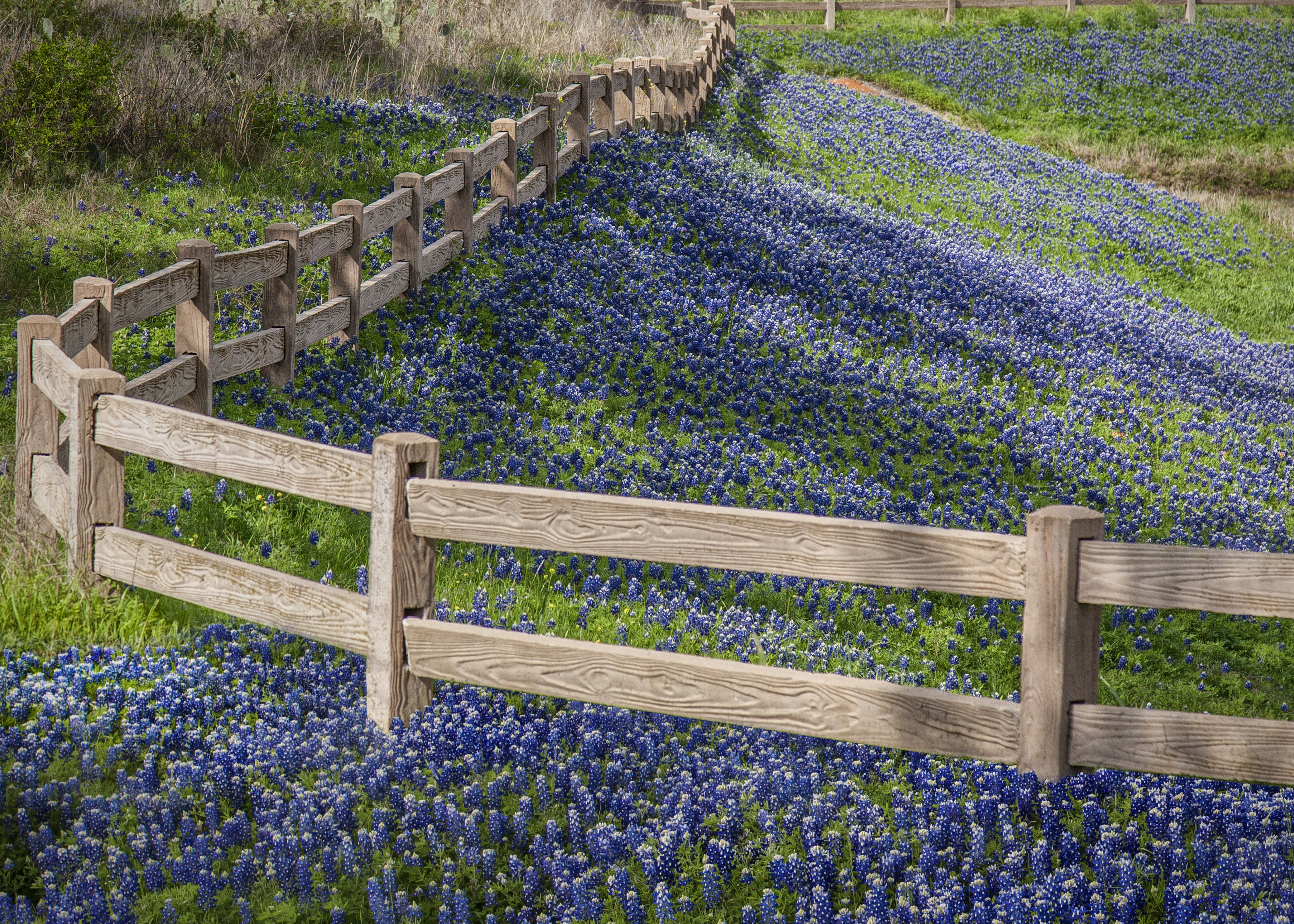 5 Texas Hill Country Towns Where You Can See Amazing