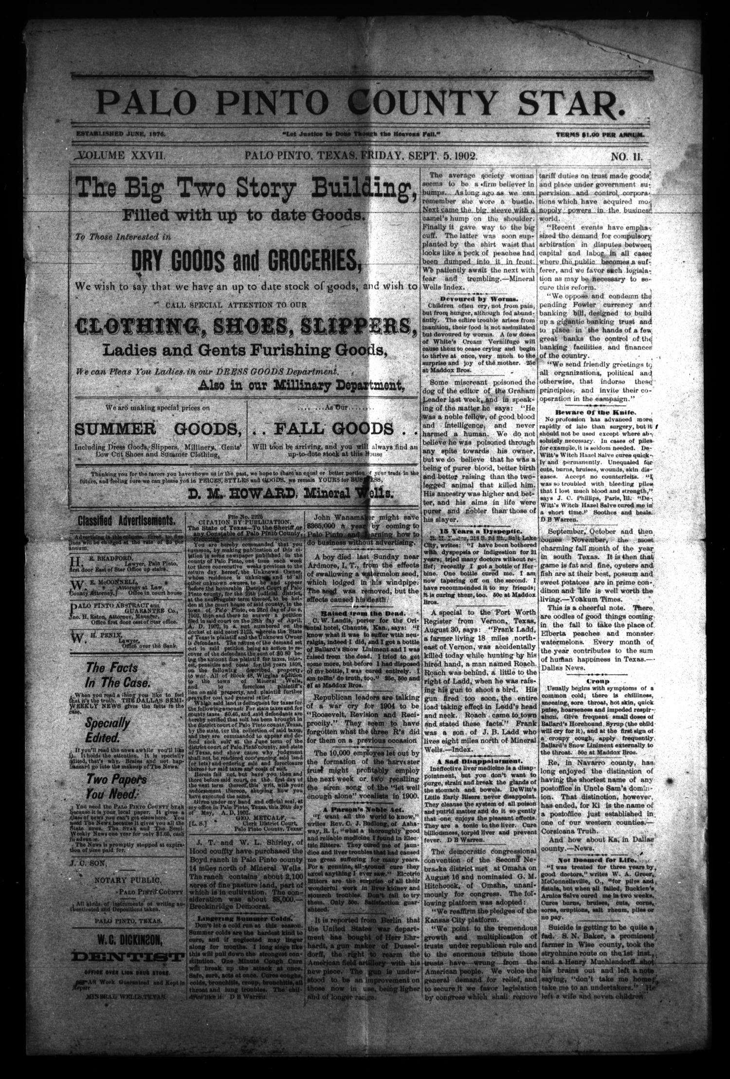 Palo Pinto County Star. (Palo Pinto, Tex.), Vol. 27, No. 11, Ed. 1(02)