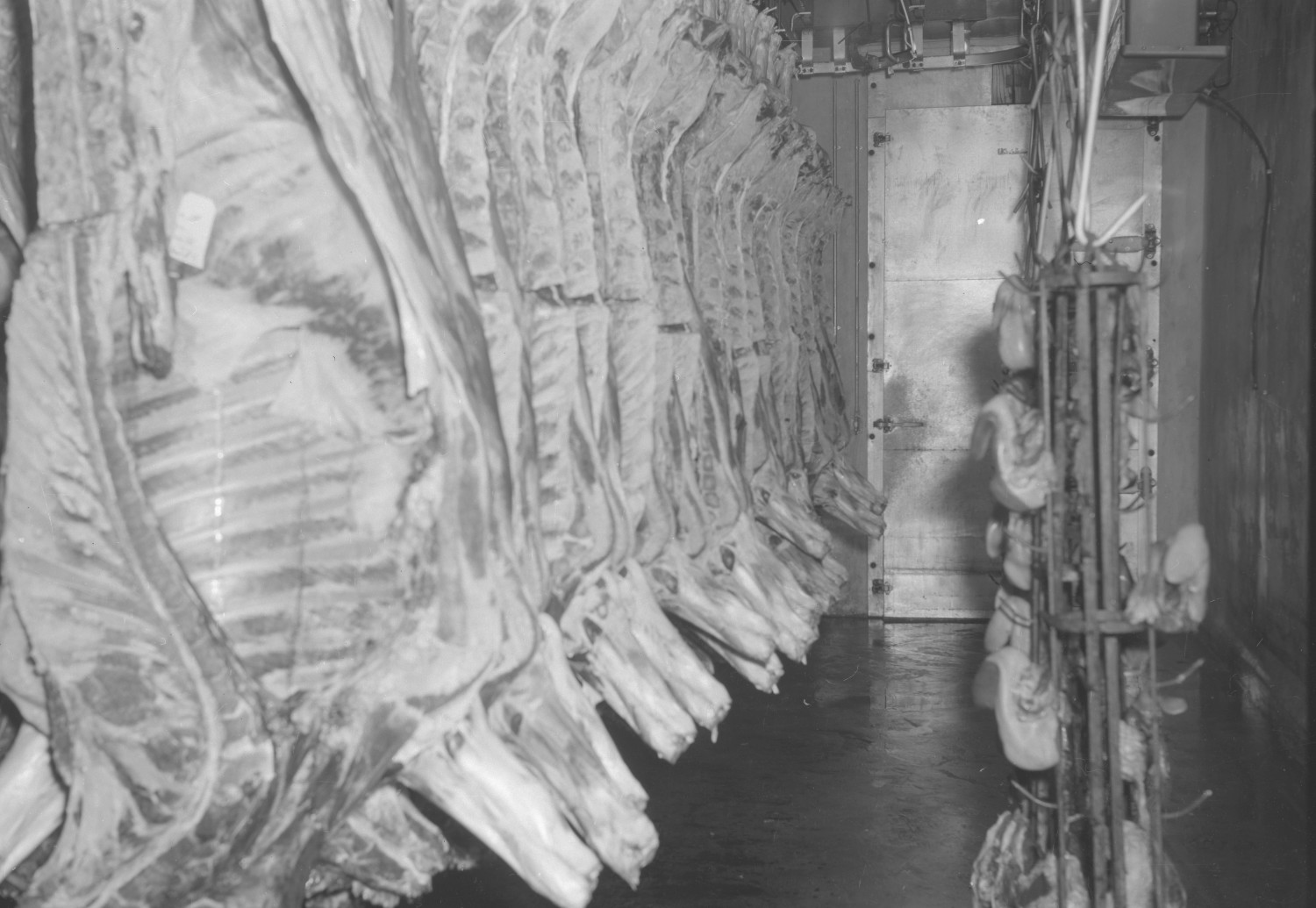 [Beef Packing Plant] The Portal to Texas History