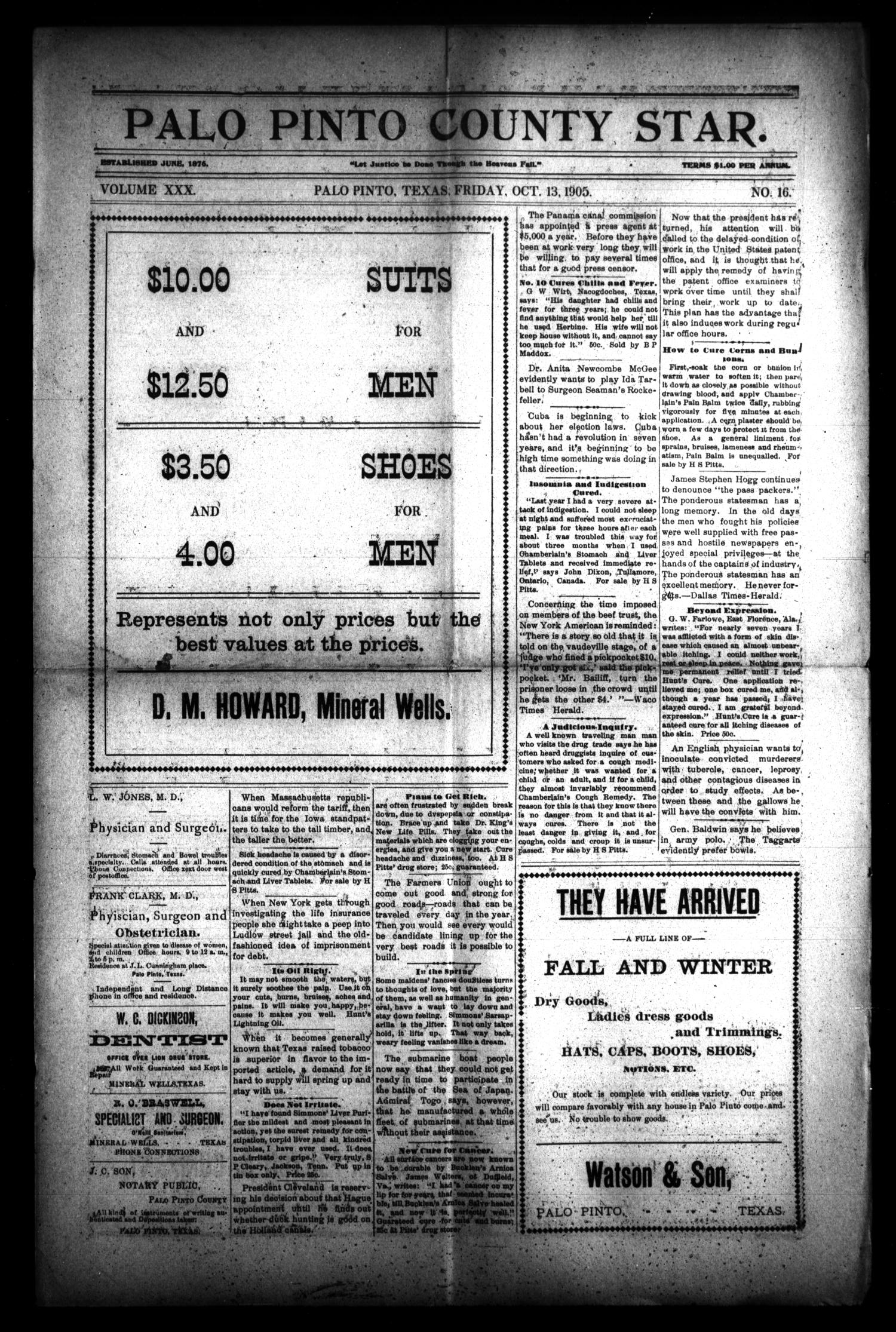 Palo Pinto County Star. (Palo Pinto, Tex.), Vol. 30, No. 16, Ed. 1(03)