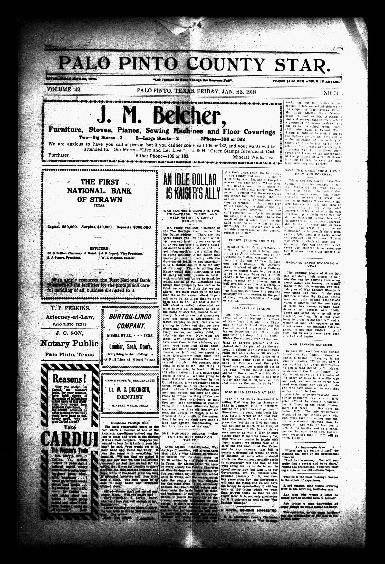 Palo Pinto County Star. (Palo Pinto, Tex.), Vol. 42, No. 31, Ed. 1(03)