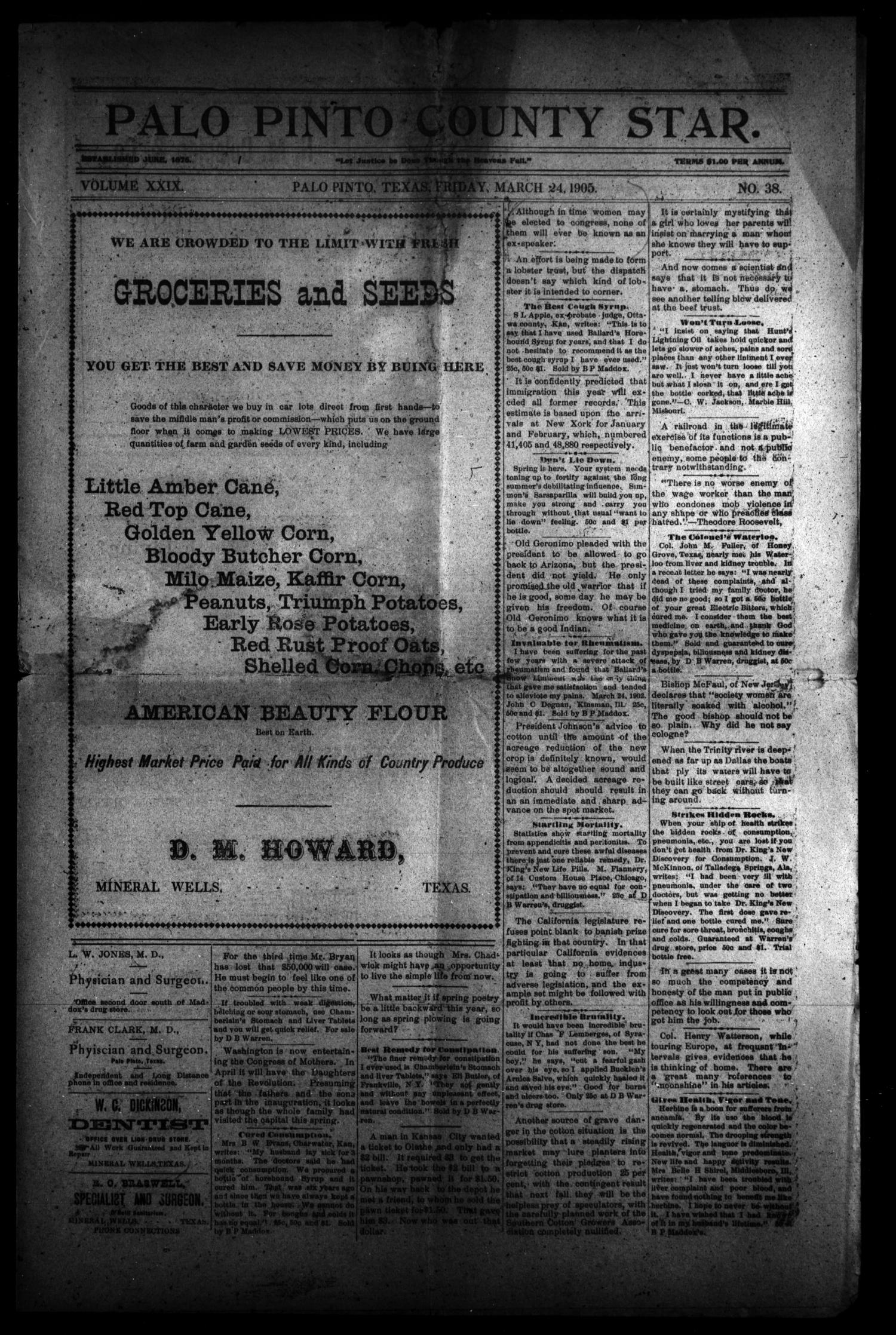 Palo Pinto County Star. (Palo Pinto, Tex.), Vol. 29, No. 38, Ed. 1(01)