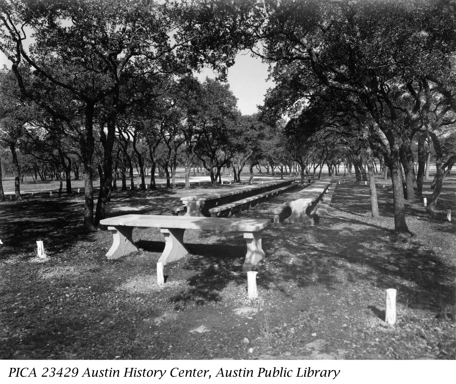 [Zilker Park Picnic Tables] Side 1 of 1 The Portal to Texas History