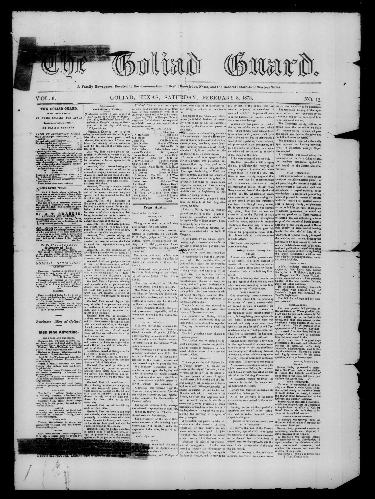 The Goliad Guard. (Goliad, Tex.), Vol. 6, No. 12, Ed. 1 Saturday