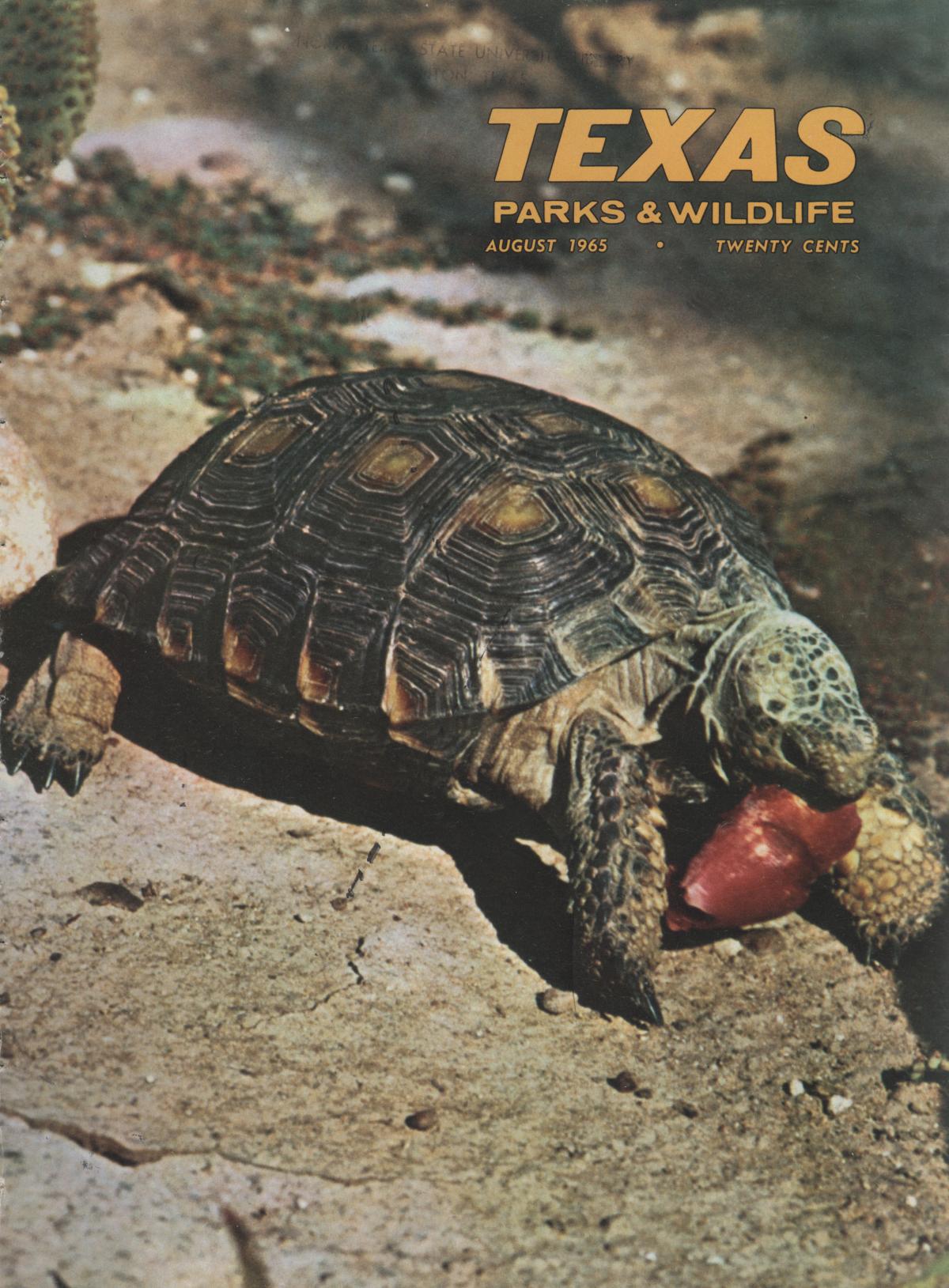 Texas Parks & Wildlife, Volume 23, Number 8, August 1965 The Portal