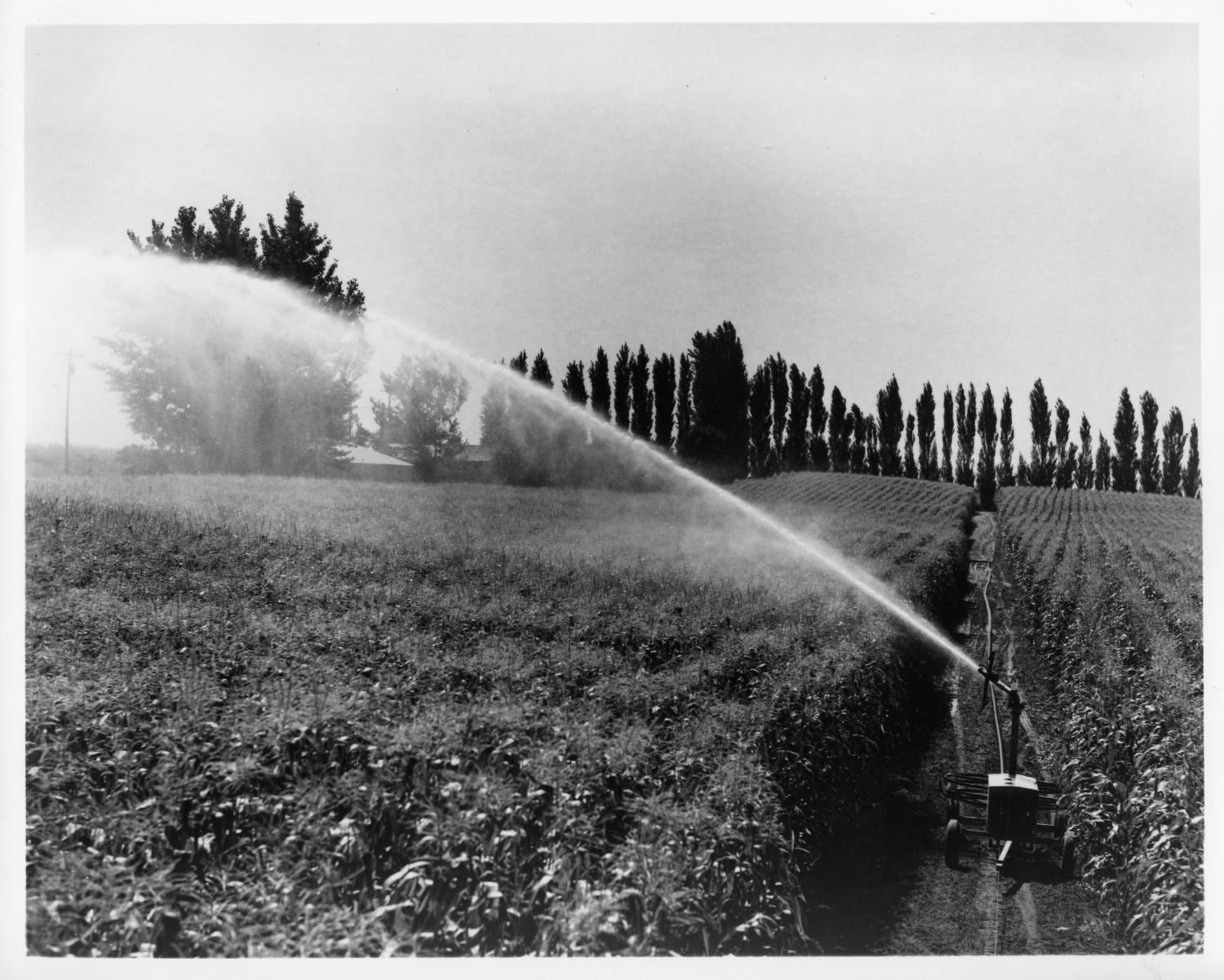 [Crop irrigation] Side 1 of 1 The Portal to Texas History