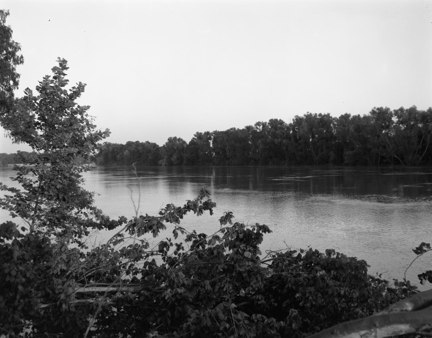 [Trinity River, (View South)] The Portal to Texas History