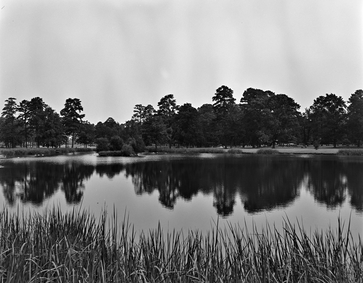 [Spring Lake Park, (South view of Lake)] The Portal to Texas History