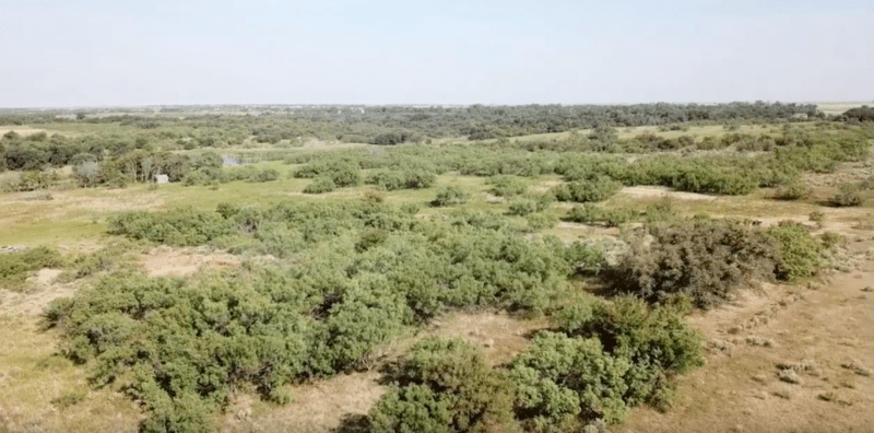 800 Acres, Harmon County OK, 9880 Texas Hunting Forum