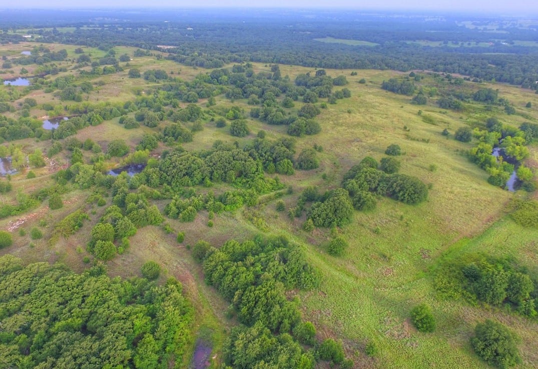 149 acres in Montague County Texas Hunting Land LLC