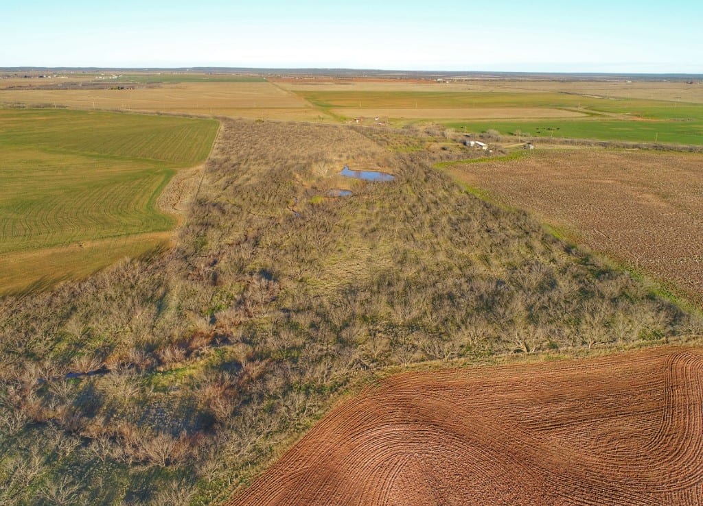 169 acres in Foard County Texas Hunting Land LLC