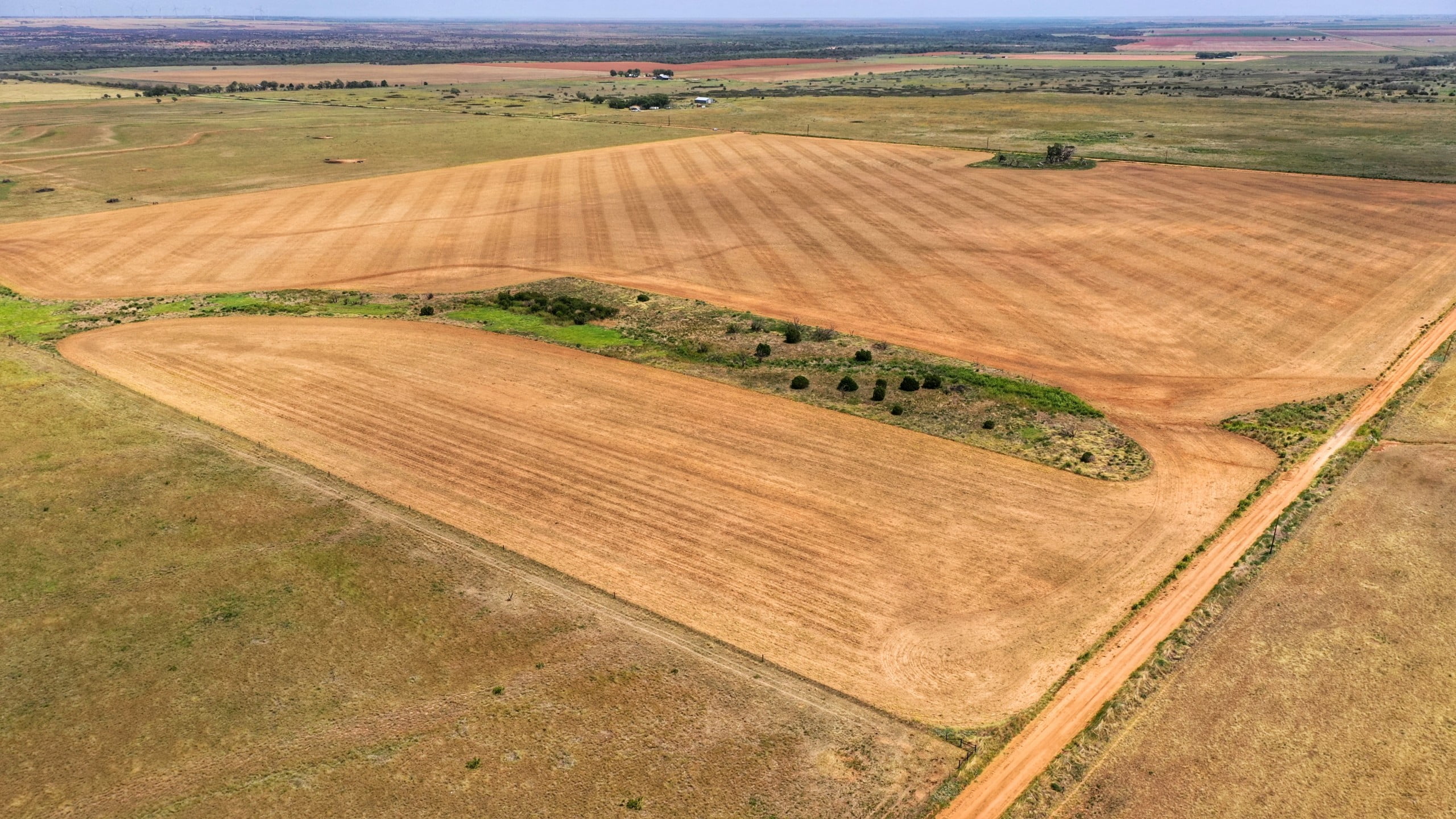 100 acres in Foard County Texas for Sale