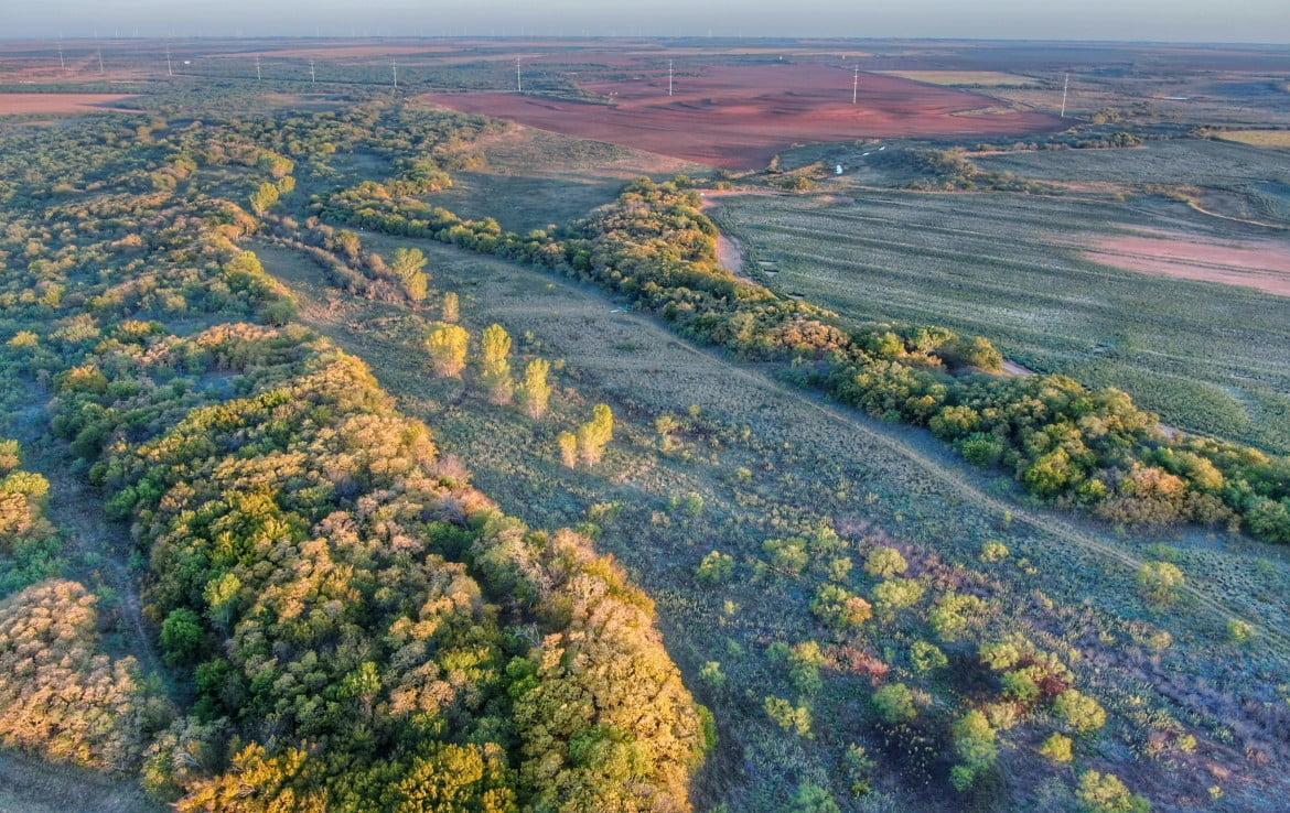 165 acres in Wilbarger County Texas for Sale