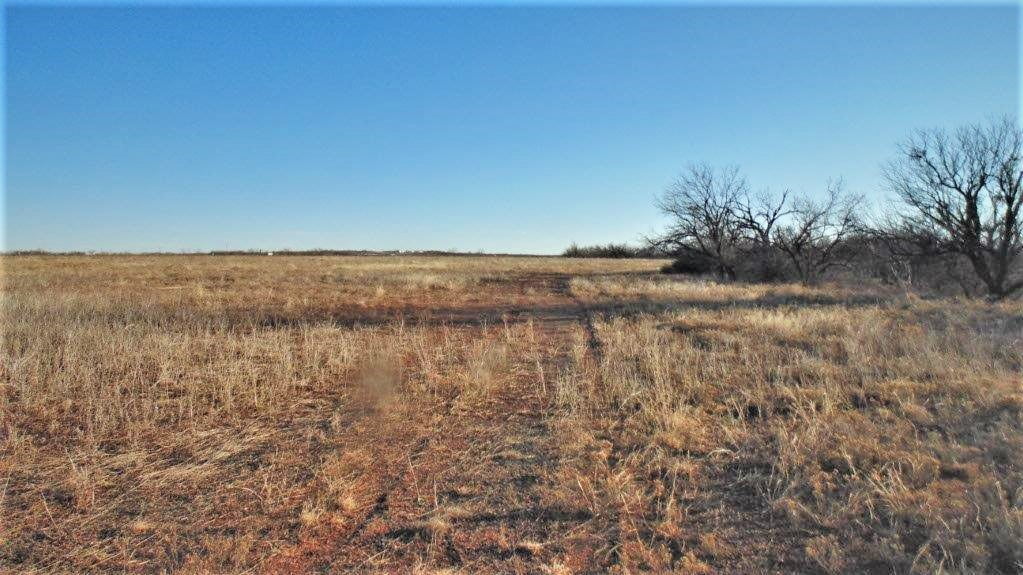 18 acres in Jones County Texas for Sale