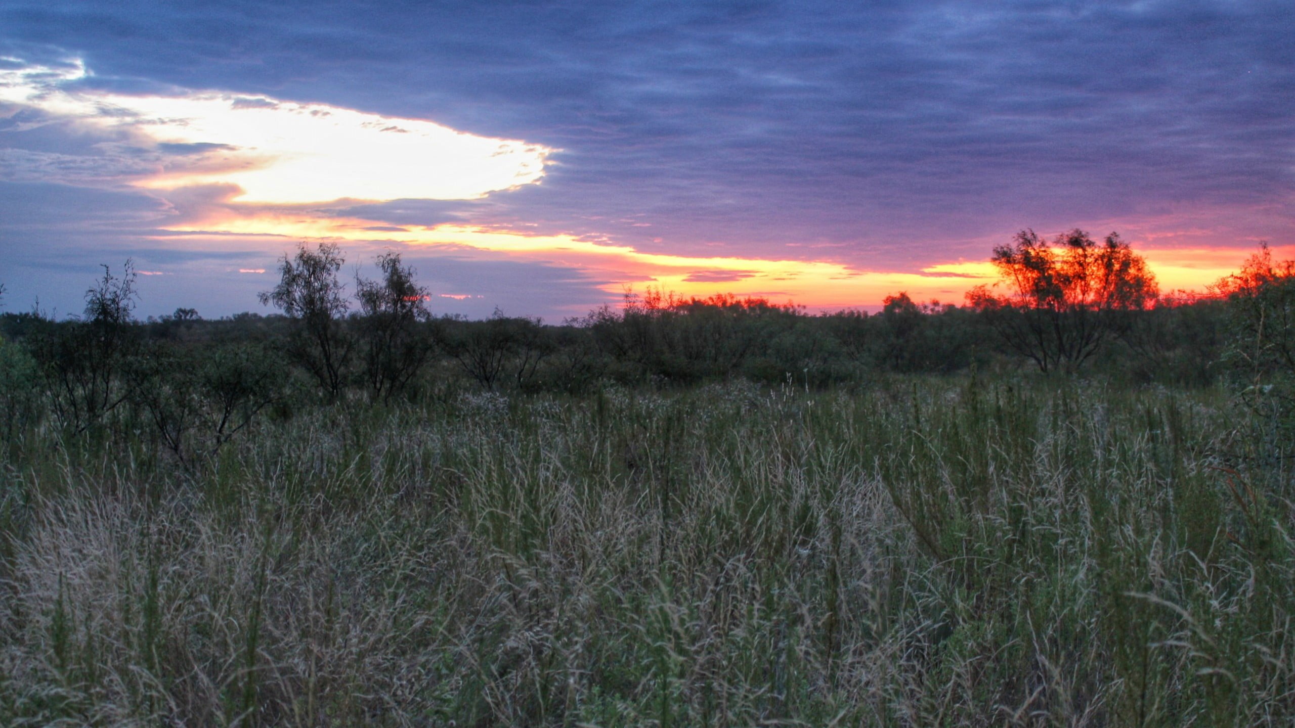 326 acres in King County Texas for Sale