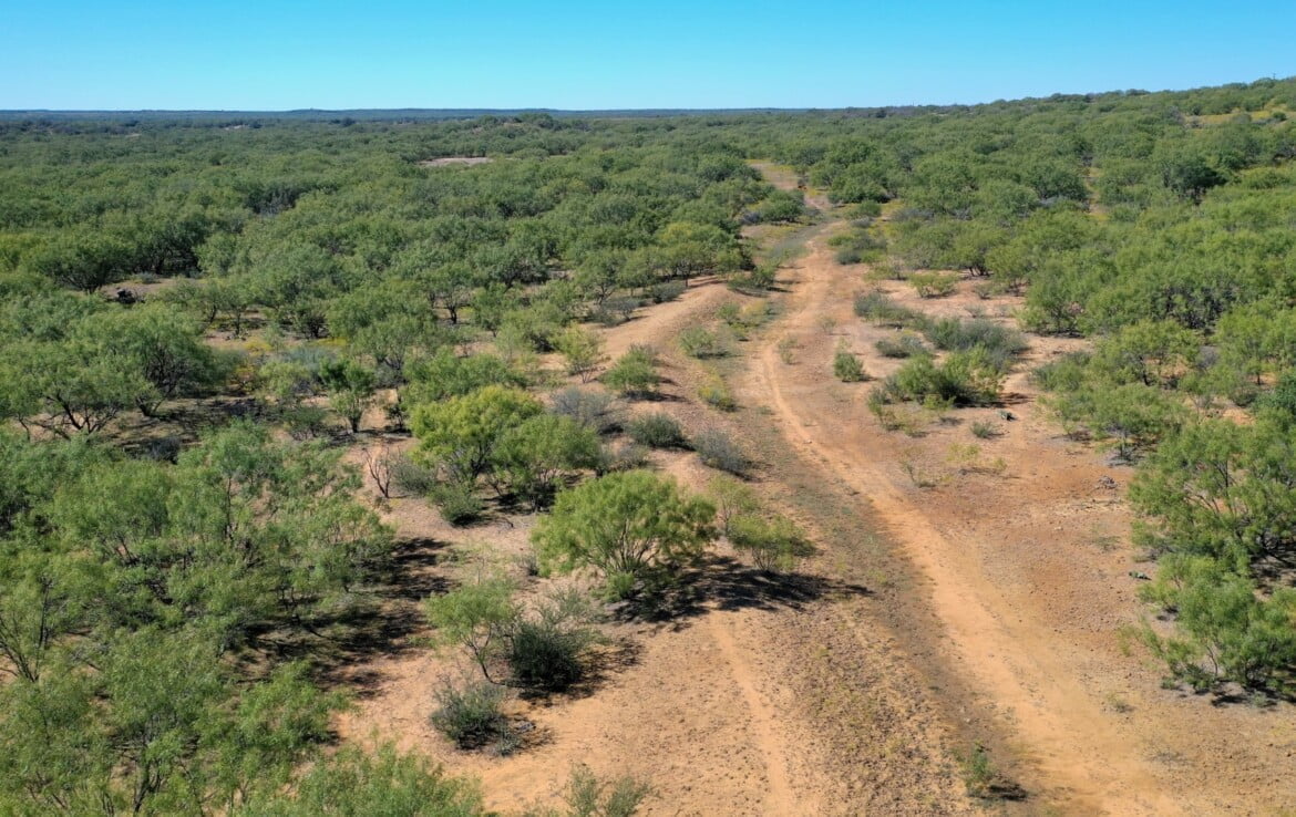 1,250 acres in Shackelford County Texas Hunting Land LLC