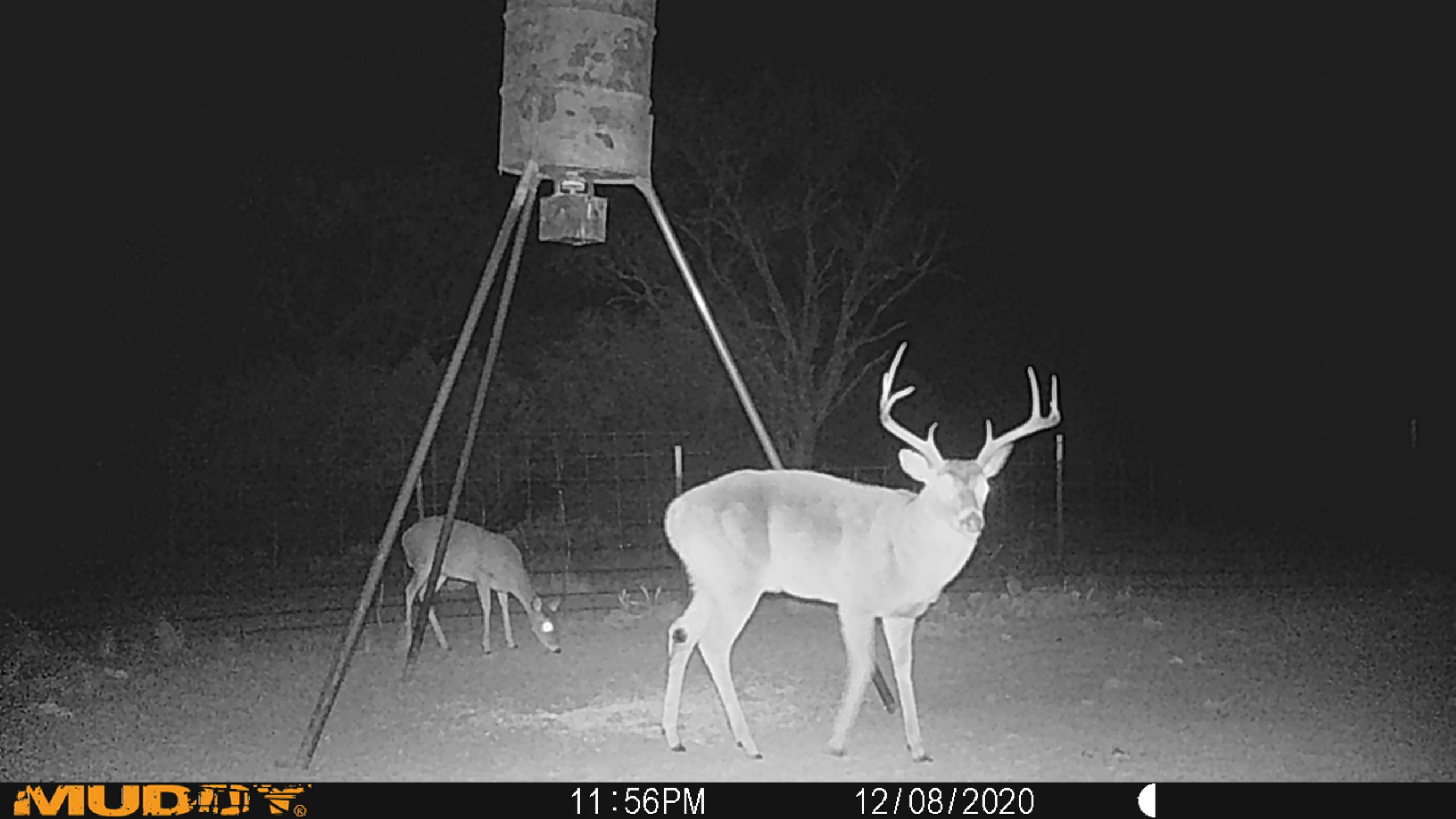 Deer Creek Texas Hunting Post