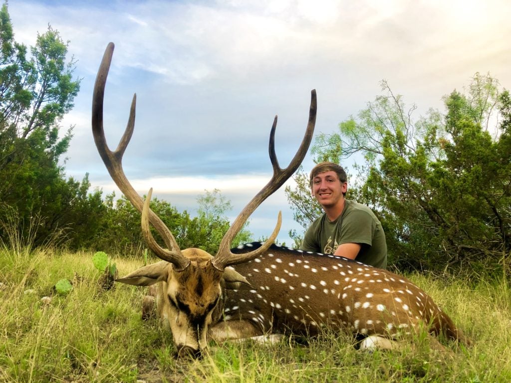 Axis Hunting Texas Hunting Resources