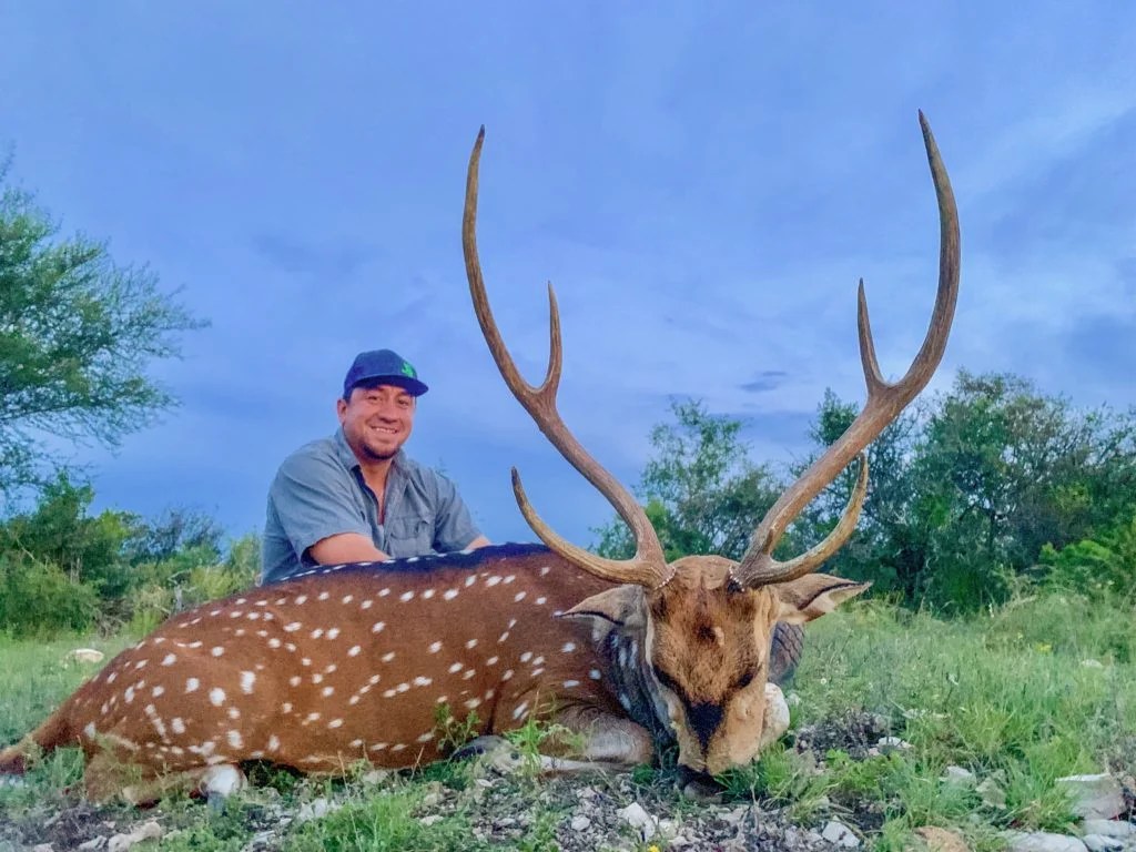 Axis Hunting Texas Hunting Resources