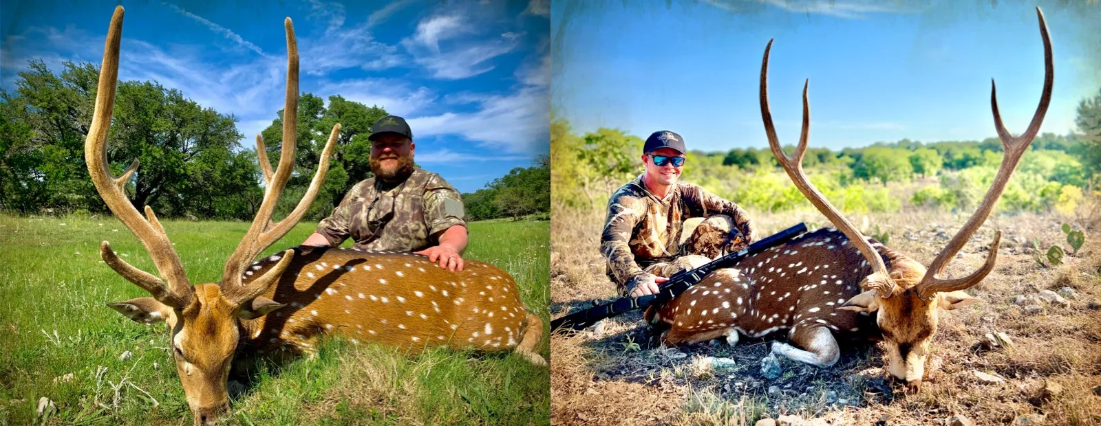 Axis Hunting Texas Hunting Resources