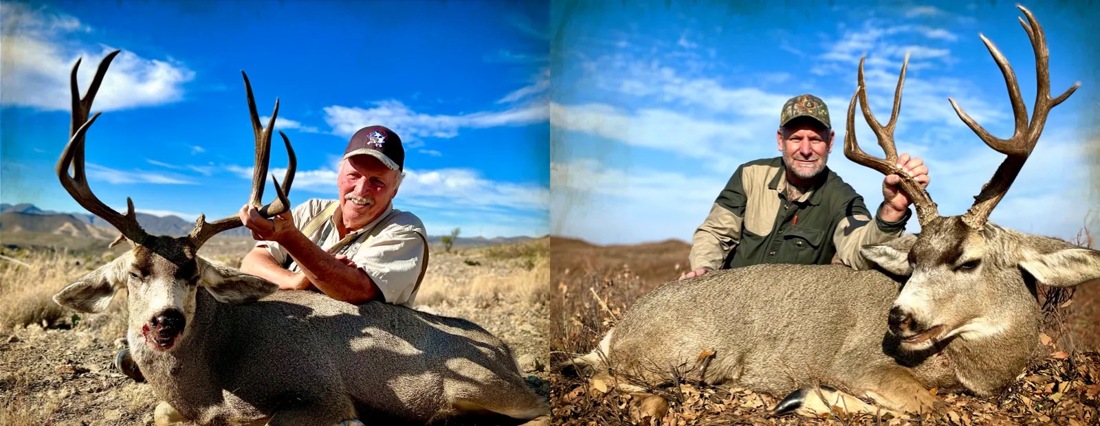 Mule deer Hunting Texas Hunting Resources