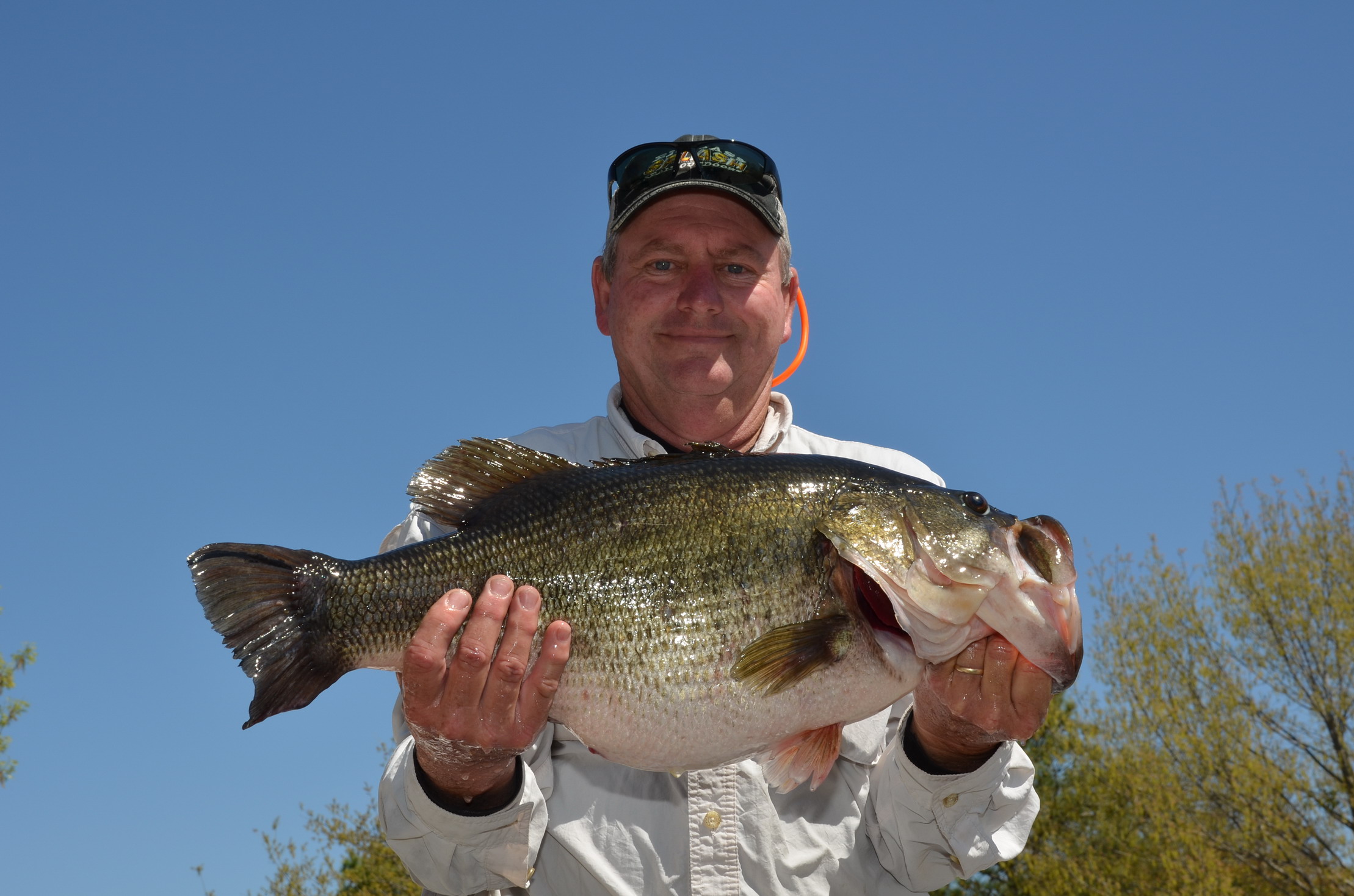 Lake Fork bass fishing produces another ShareLunker, No. 547