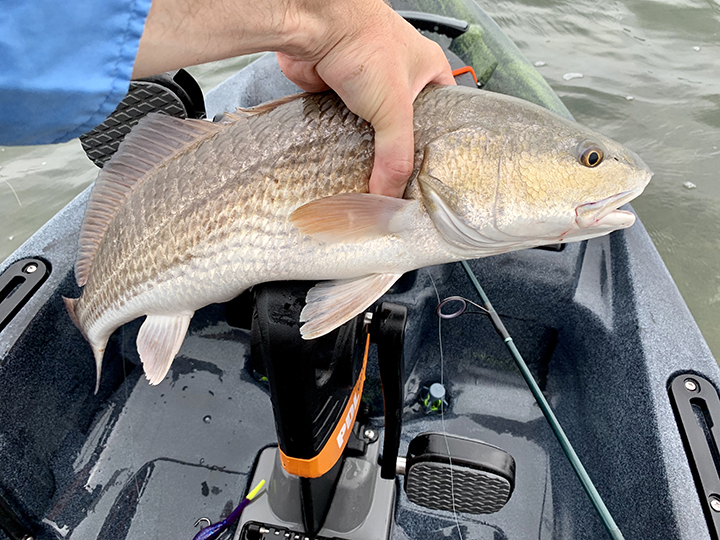 Texas Saltwater Summer Fishing Guide
