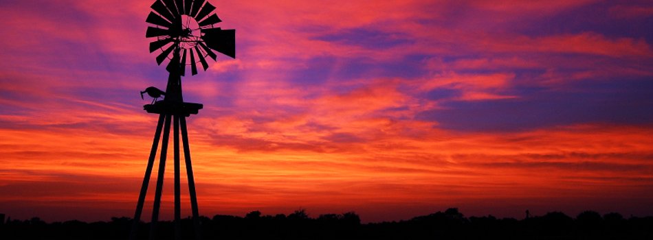 Lubbock > Texas Tech Public Media Texas PBS