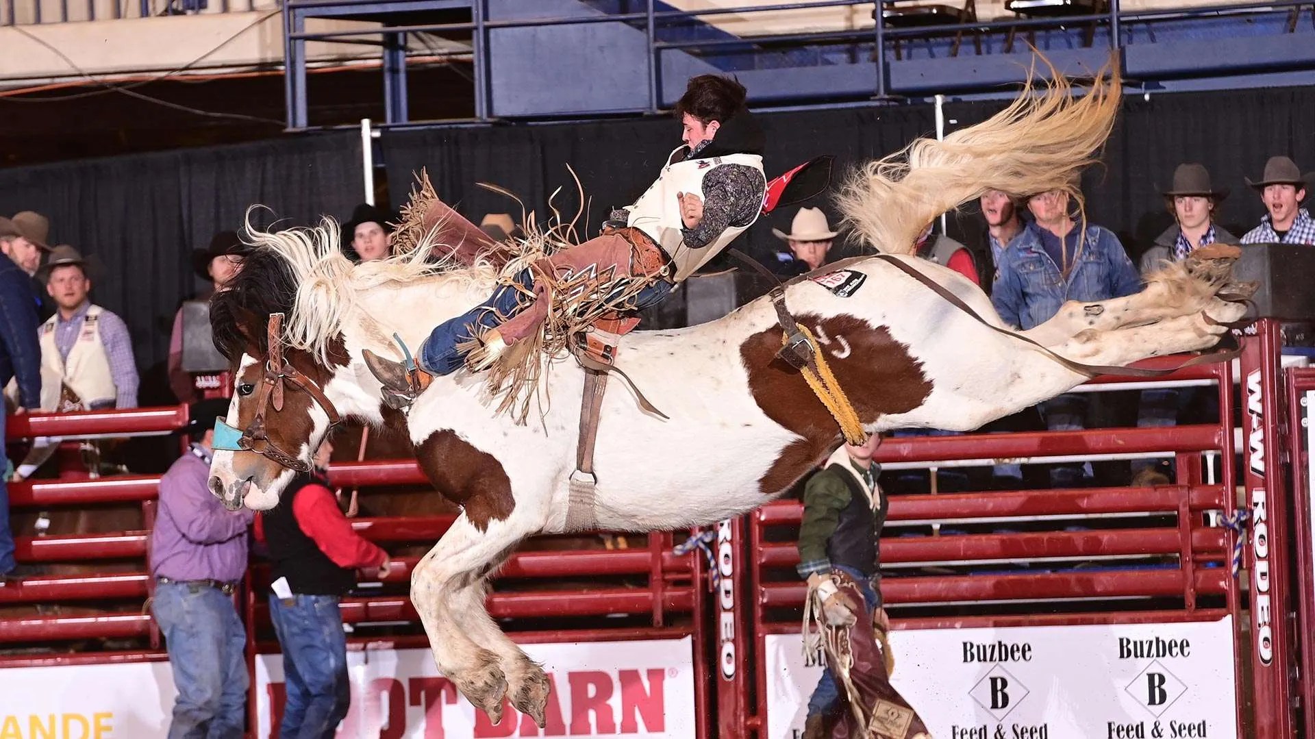 Texas ProRodeo Circuit