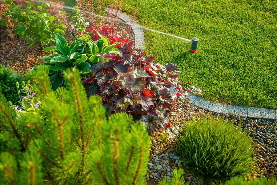What Causes Low Pressure In Sprinklers? Texas Rainmakers