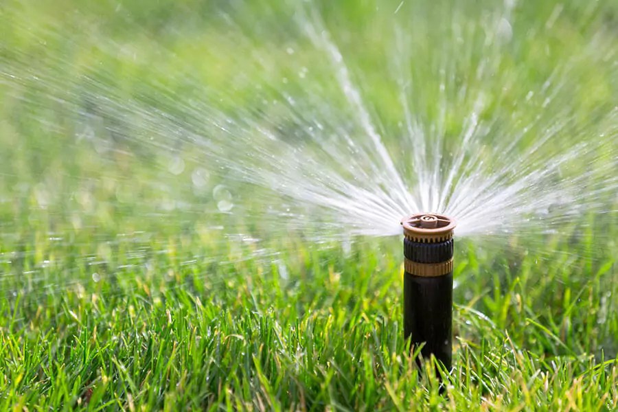 Why Should You Let A Pro Do Your Sprinkler Installation? Texas Rainmakers