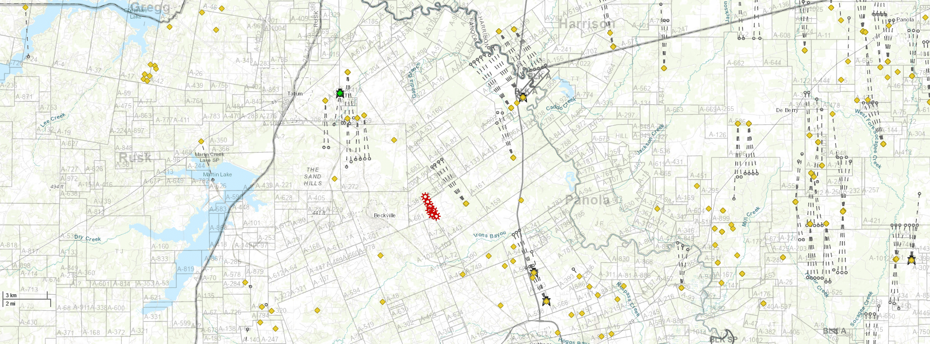 Panola County Minerals for Sale 880/Mo + Upside Potential