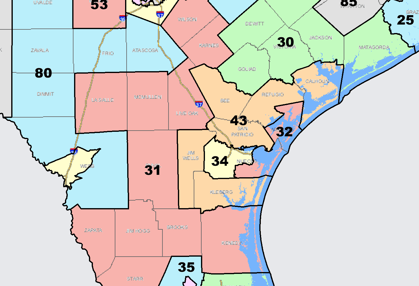Texas House District 31 Candidates in Their Own Words Texas Scorecard