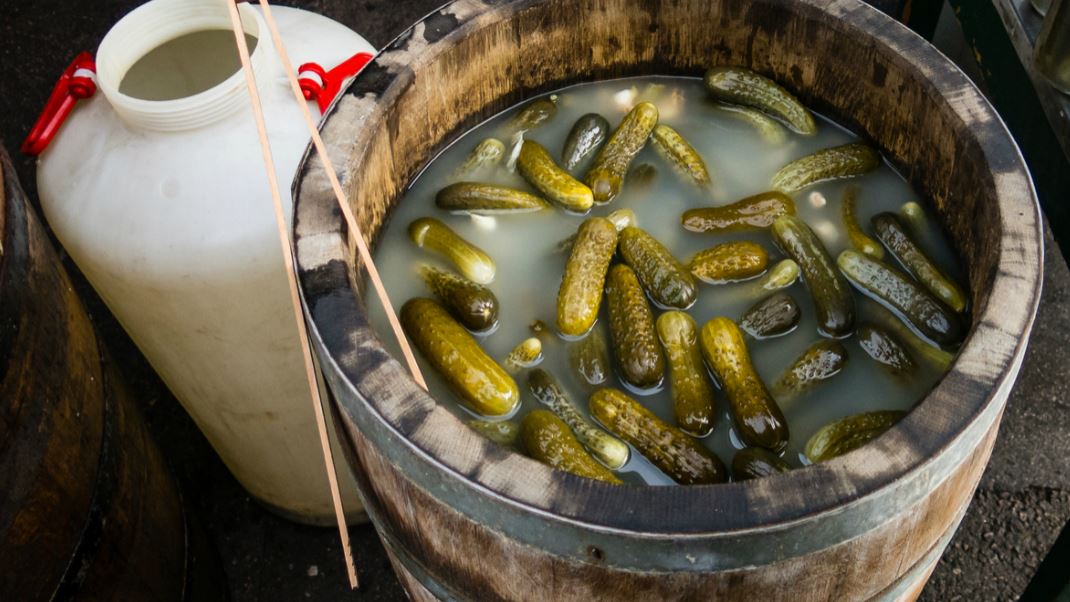 The art of the dill Wawa’s famous pickles Texas Titos