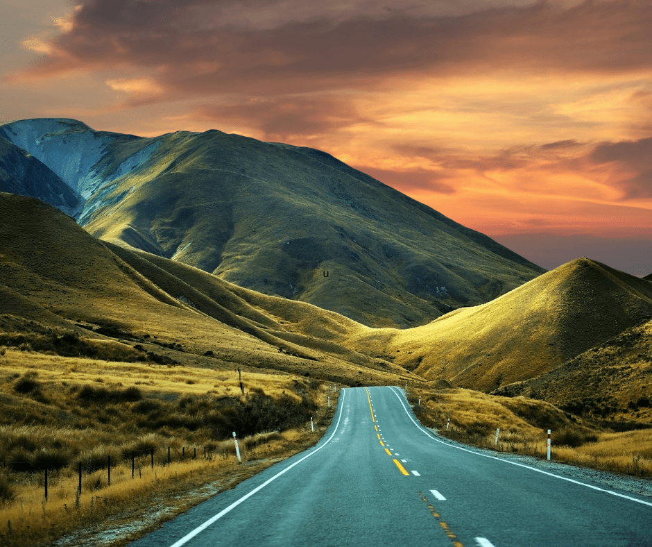 Is New Zealand Open For US Travel? Texas Tower 24 Hour Passport and Visa