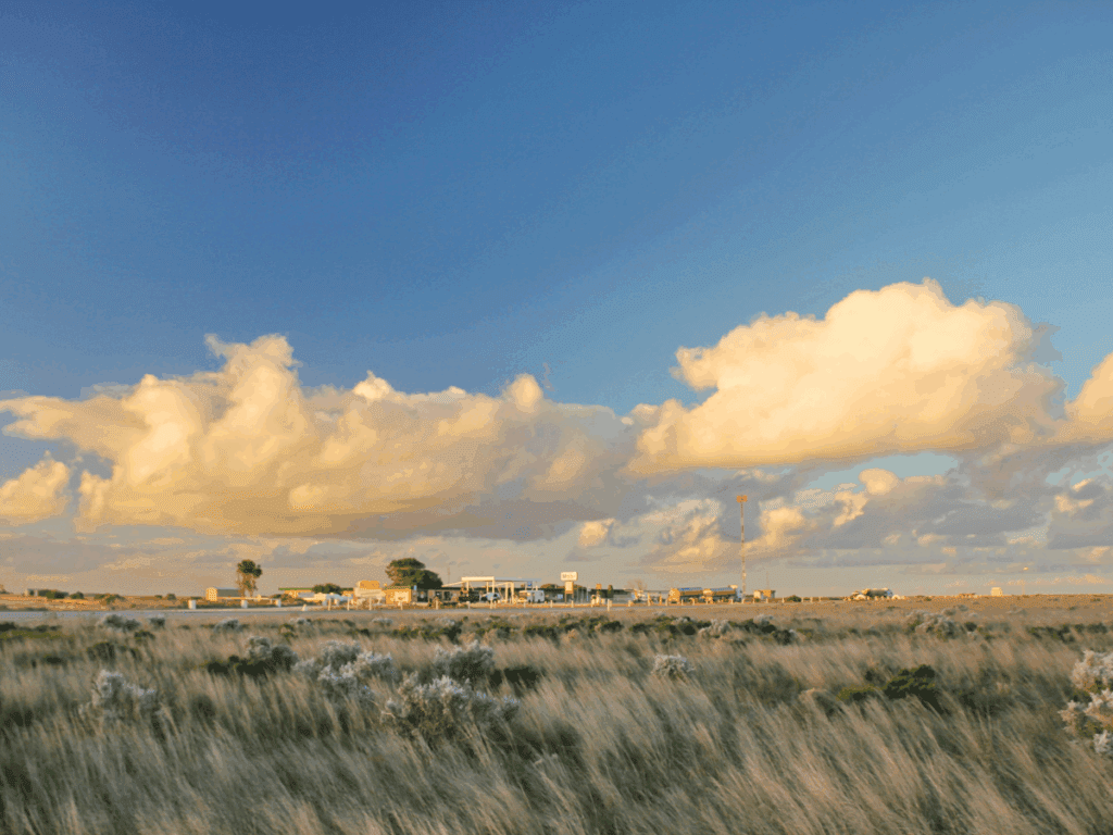 Texas Roadhouse Waitlist Fast Track To Your Table