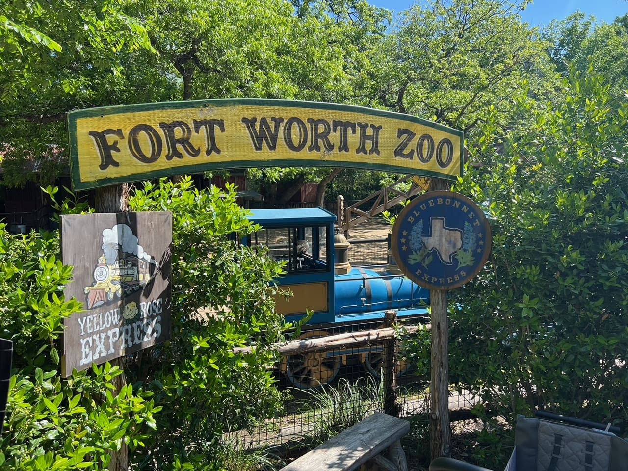 Summer 2023 Events, Activities & Camps Texas Zoos and Aquariums