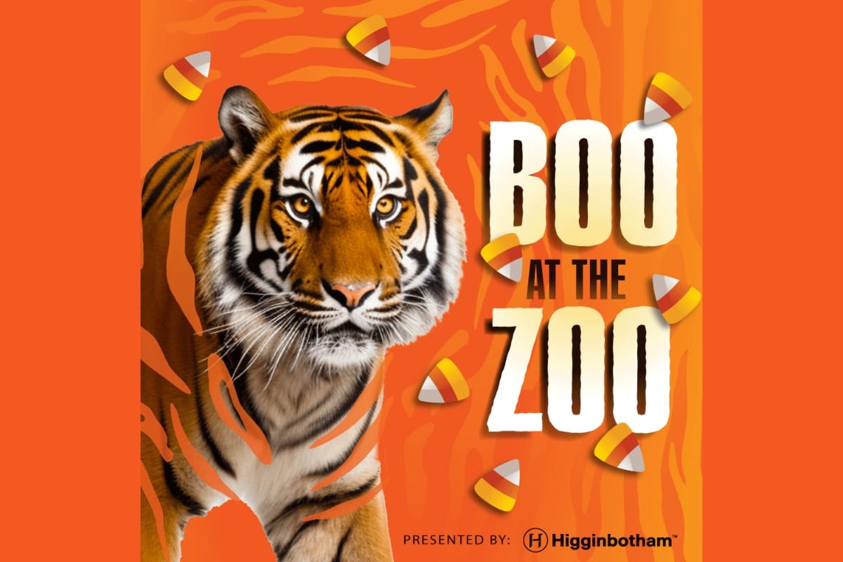 Fort Worth Zoo Archives Texas Zoos