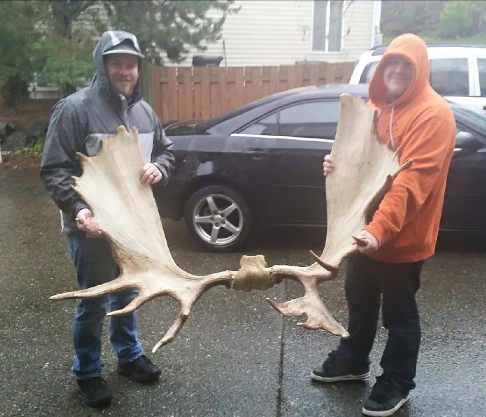 The Antler Tex Creek Antler We buy and sell elk, deer, and moose