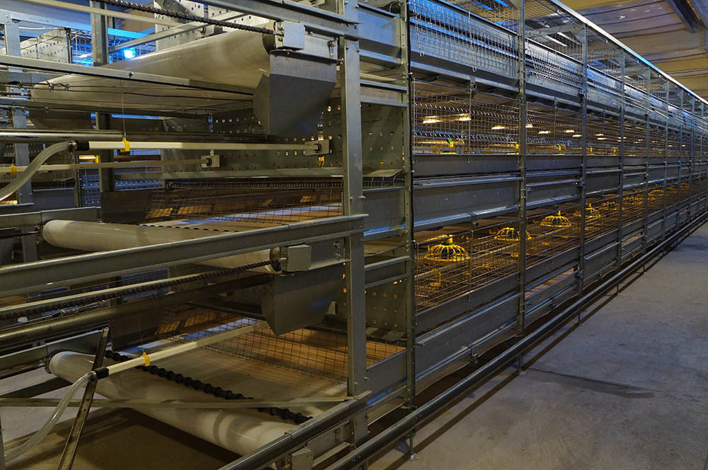 Litter removal system