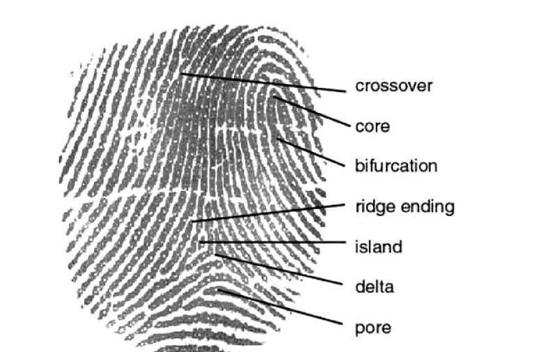 A Complete guide to Fingerprint Analysis